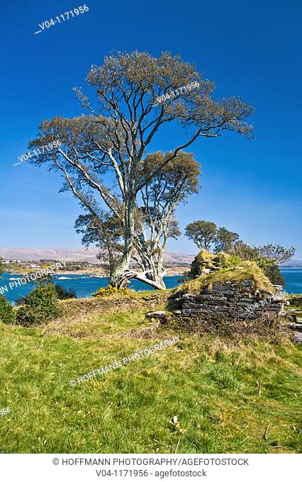 The remains of Dunboy castle on the Beara Peninsula, County Cork, Ireland, Europe