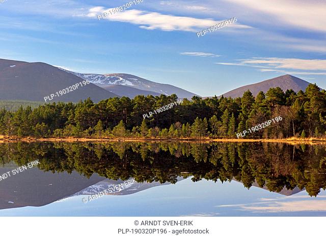 Loch Morlich and Cairngorm Mountains, Cairngorms National Park near Aviemore, Badenoch and Strathspey, Scotland, UK