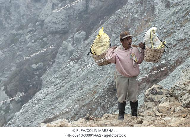 Local man carrying blocks of sulphur in baskets on slopes of volcanic crater, Mount Ijen, East Java, Indonesia