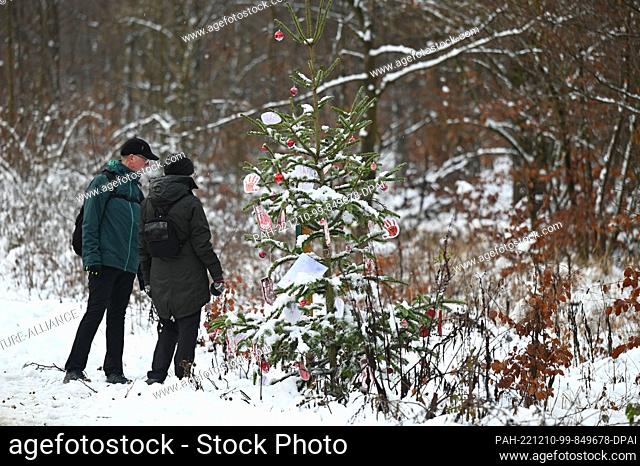 PRODUCTION - 07 December 2022, Hessen, Kassel: Hikers look at a decorated Christmas tree in the Habichtswald forest. Along the 3