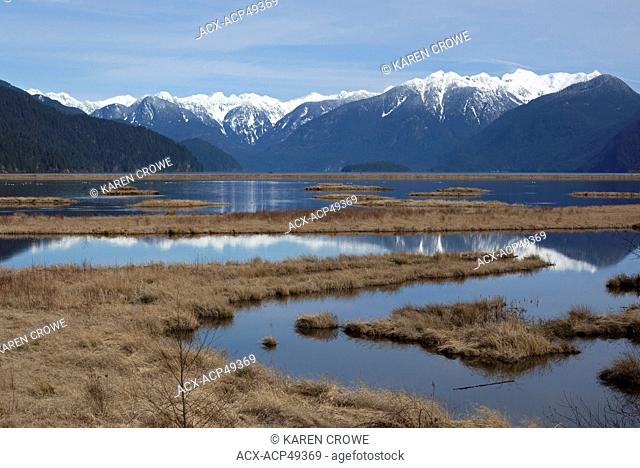 Pitt Lake and Pitt Polder, Pitt Meadows, Lower Mainland of British Columbia, Canada