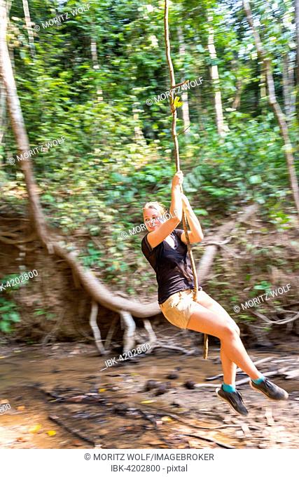 Young woman swinging on a vine in the jungle, tropical rain forest, Taman Negara, Malaysia