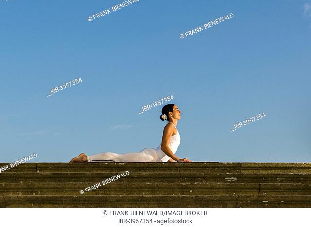 Young woman practising Hatha yoga, outdoors, showing the pose Bhujangasana, Cobra pose