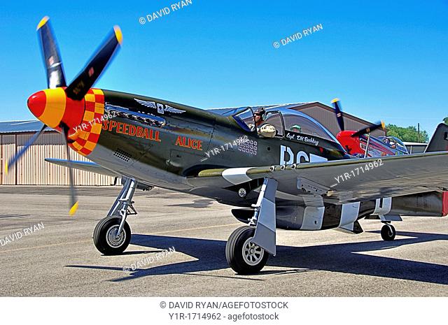 'Speedball Alice', P-51D WW2 Fighter Aircraft taxiing at Nampa Airport