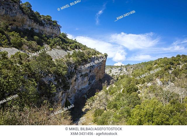 Mountain landscape. Desfiladero del Rio Puron route. Valderejo Natural Park, Alava, Spain, Europe