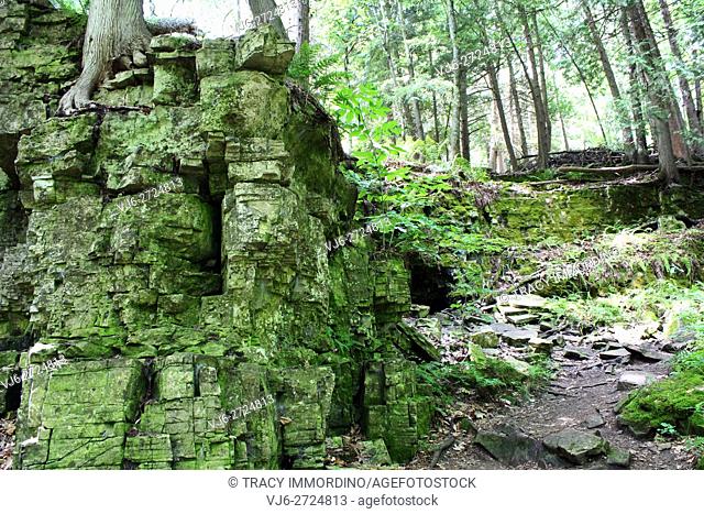 Moss covered limestone with a small cave opening on a rocky, dirt trail (Eagle Trail) in a forest in Peninsula State Park, Door County, USA