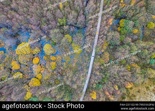 28 October 2023, Denmark, Dueodde: Autumn nature in the dunes of Dueodde on the southeastern tip of the Danish Baltic Sea island Bornholm (aerial photo taken...