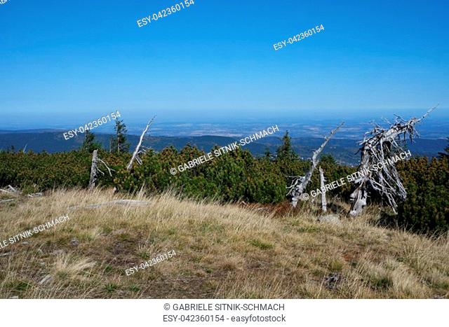 Mount Szrenica in the Giant Mountains. Border area between Poland and the Czech Republic