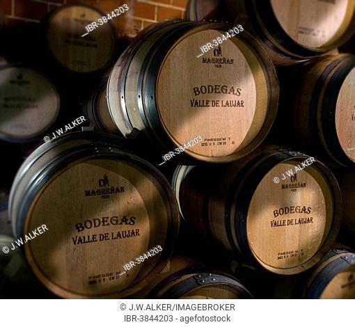 Wine barrels, wine cellar, Bodegas Valle de Láujar, Láujar de Andarax, Andalusia, Spain