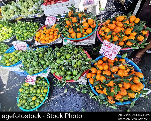 05 March 2023, Vietnam, Ho-Chi-Minh-Stadt: Citrus fruits lie for sale at a market in Ho Chi Minh City. Photo: Alexandra Schuler/dpa