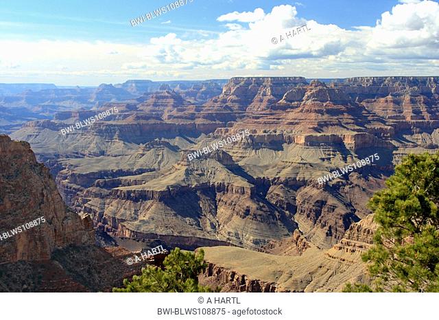 Grand Canyon, view from Grandview Point to Walhalla Plateau, USA, Arizona, Grand Canyon NP