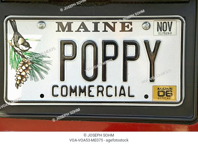 Poppy vanity custom Maine license plate, Acadia national Park, Maine
