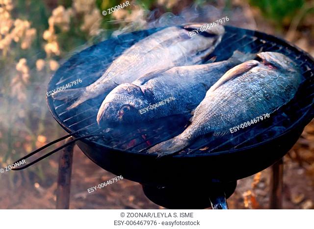 Sea Bream Fish Grilling On BBQ