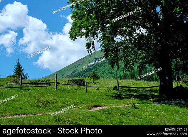 Carpathian mountain summer country landscape with path and fence, Ukraine