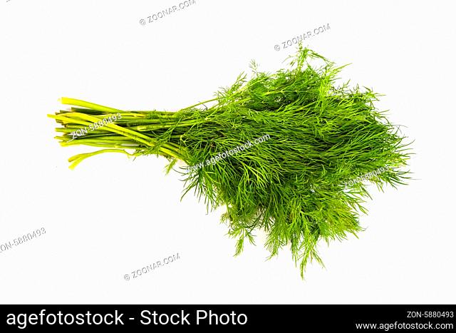 Fresh branches of green dill isolated on white background