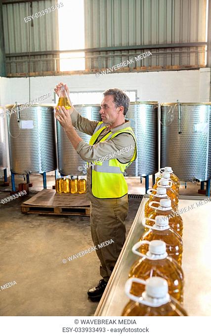 Male technician examining olive oil