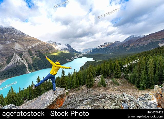 Hiker stretches his arms in the air, view of turquoise glacial lake surrounded by forest, Peyto Lake, Rocky Mountains, Banff National Park, Alberta Province