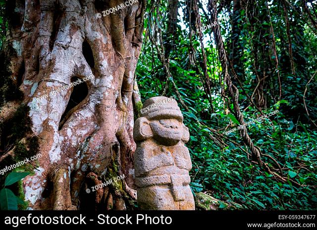 San Agustin, Colombia: A mysterious statue of a male person stands in the rainforest next to an old tree with large roots