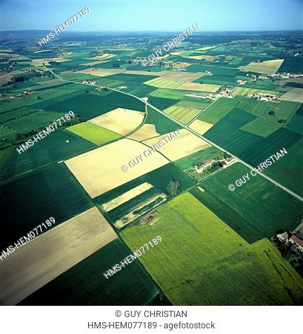 France, Allier (03), Limagne plain, near Charroux, aerial view