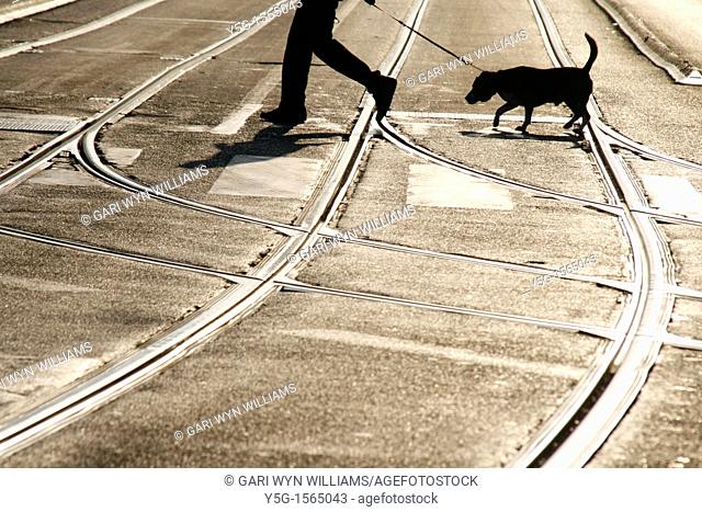 person with dog crossing road in city in rome italy