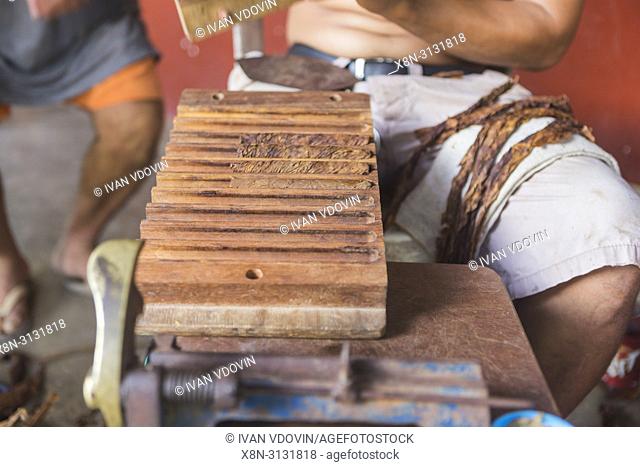 Hand made cigars, La Soledad de Maciel, near Petatlan, Guerrero state, Mexico