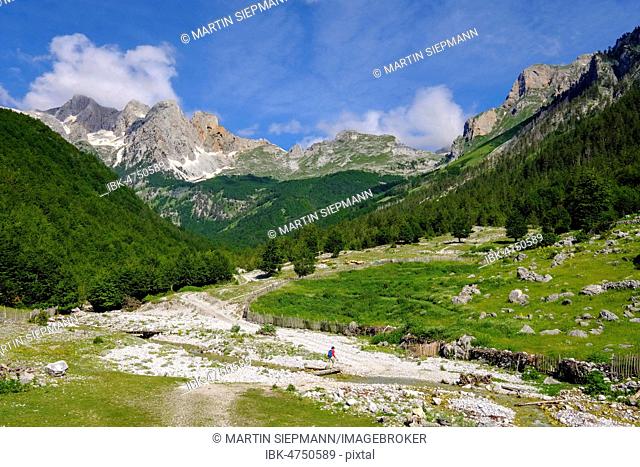 Female hiker in Kukaj Valley, Valbona National Park, Albanian Alps, Prokletije, Qar Kukes, Albania