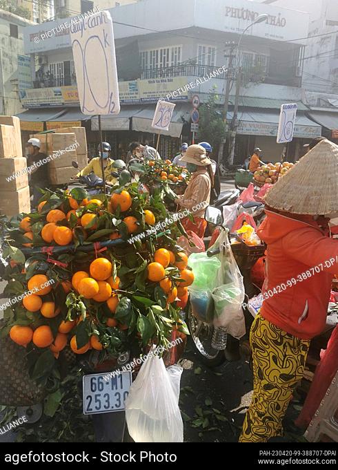 05 March 2023, Vietnam, Ho-Chi-Minh-Stadt: Mandarins are offered for sale from scooters at a market in Ho Chi Minh City. Photo: Alexandra Schuler/dpa