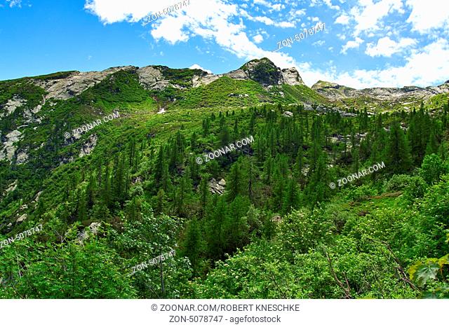 Mischwald mit Gebirgskamm des Alpi di Andolla in den italienischen Alpen