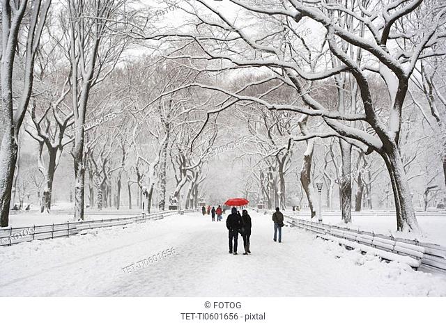 People walking in Central Park in winter