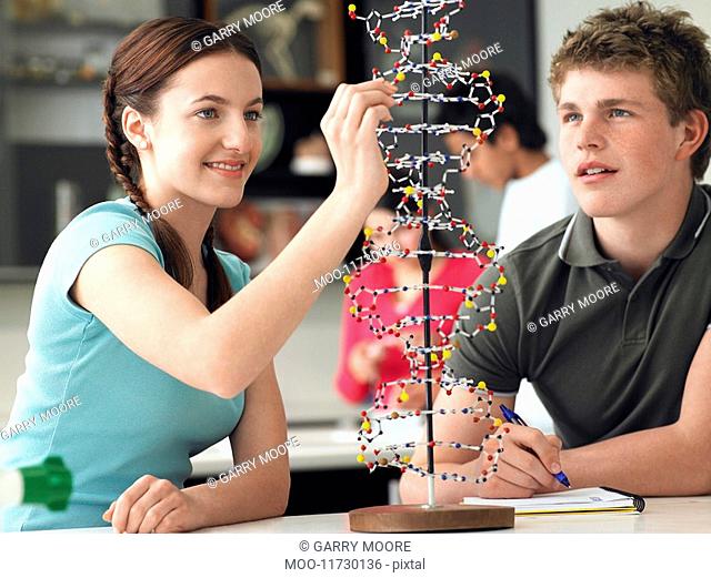 Teenagers working on DNA model in science class