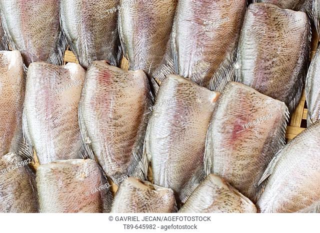 Snakeskin Gourami (Trichogaster pectoralis) dried fish for food