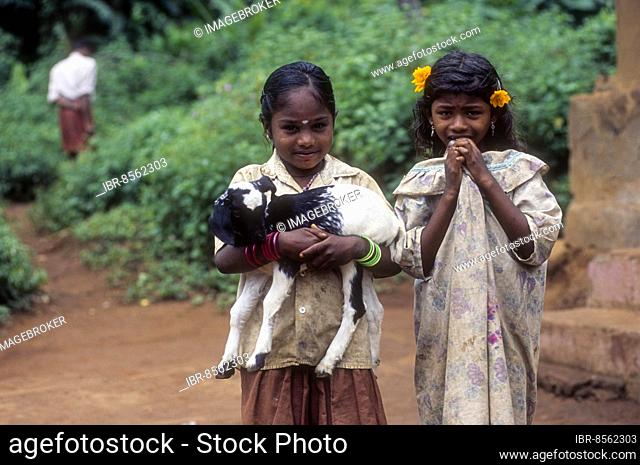 Tribal girl children in Silent Valley, Kerala, South India, India, Asia. Goat, Asia