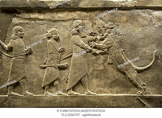Assyrian relief sculpture panel of Ashurnasirpal lion hunting. From Nineveh North Palace, Iraq, 668-627 B. C. British Museum Assyrian Archaeological exhibit no...