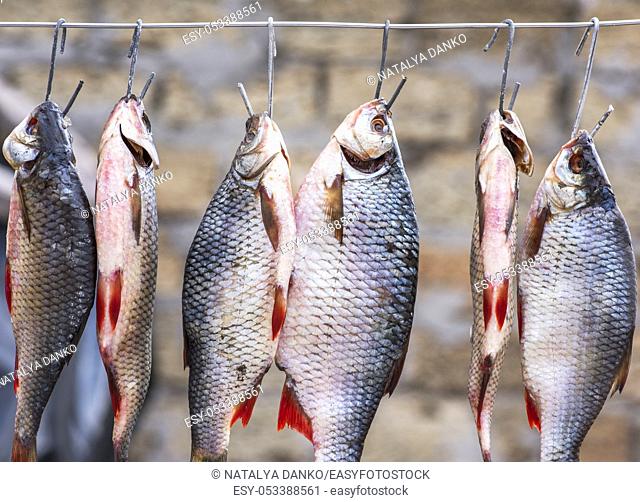 Salted fish ram is hanging on wire and dried outdoors, close up