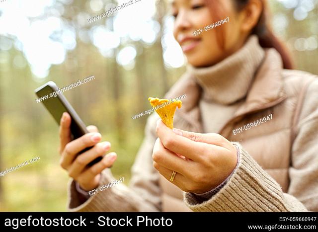 asian woman using smartphone to identify mushroom