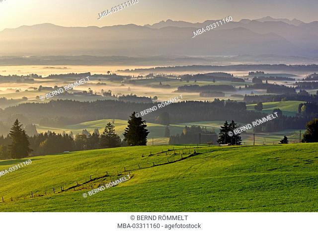 Germany, Bavaria, Allgäu, Ostallgäu district, Königswinkel region, mountain Auer, foothills of the Alps, Ammergauer alps