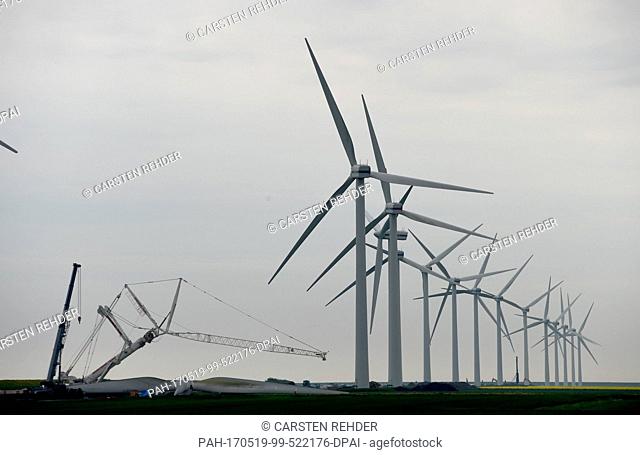 Wind turbines seen in the Wiedinghard Koog near Klanxbuell, Germany, 17 May 2017. Photo: Carsten Rehder/dpa