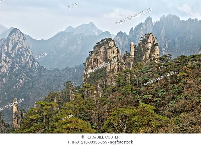 View of mountain range with granite peaks, Huangshan (Yellow Mountains), Anhui Province, China, October