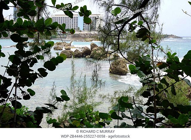 The Condado Plaza Hilton hotel Condado Lagoon Through Trees-San Juan, Puerto Rico
