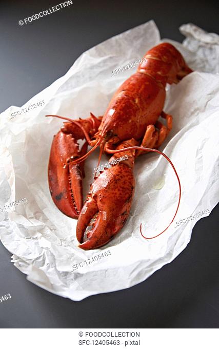 A whole cooked lobster on white paper