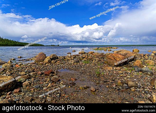 The littoral zone at low tide. The shore of the White Sea. Kandalaksha Gulf, Karelia, Russia, end of June