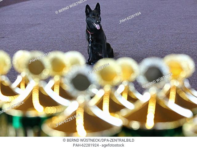 A German Shepherd named 'Hadiya' performs during a talent show, with the trophies to be awarded pictured in the foreground