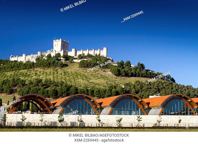 """""Protos"" winery and Castle. Peñafiel village. Ribera de Duero region. Valladolid. Castile and Leon. Spain, Europe