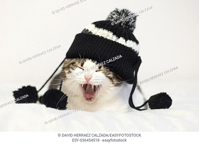 Funny cat yawning ready to sleep, wearing a warm hat with pompon. Lying on a blanket. Winter season concept