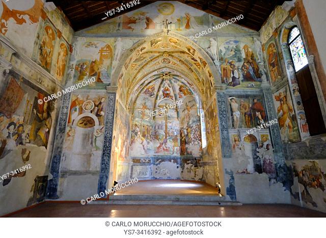 The frescoed chapel of Sant'Antonio Abate church, San Daniele del Friuli, Udine, Friuli Venezia Giulia, Italy, Europe