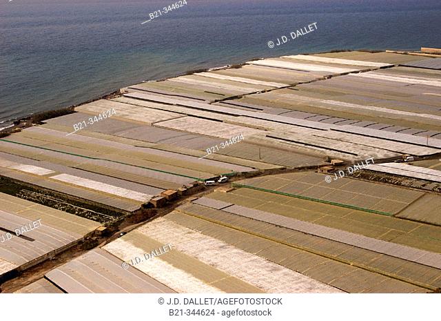 Greenhouses. El Ejido. Almería province, Spain