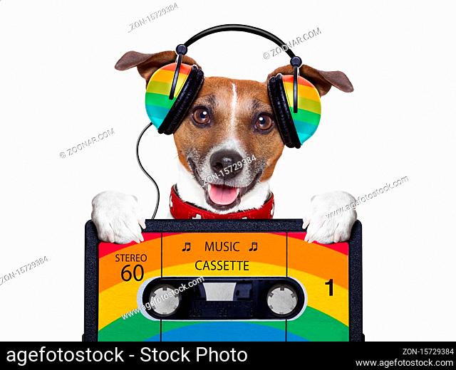 dog listening to music from an old cassette of the 80's
