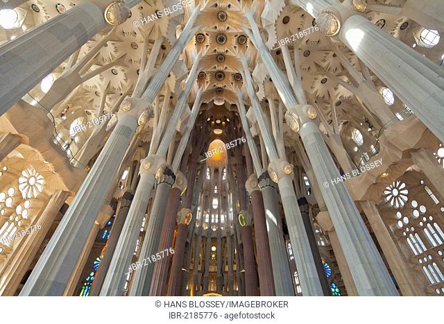 Church ceiling, tree-shaped pillars and ceiling, interior of Sagrada Familia, Basílica i Temple Expiatori de la Sagrada Família