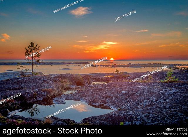 sea landscape with colorful plants with trees and rocks in ocean during sun rise