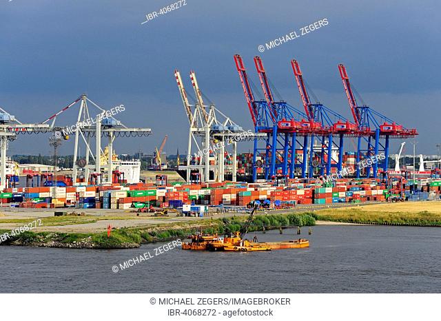 Gantry cranes for container terminal Tollerort, Steinwerder, Hamburg harbor on the Elbe, Hamburg, Germany